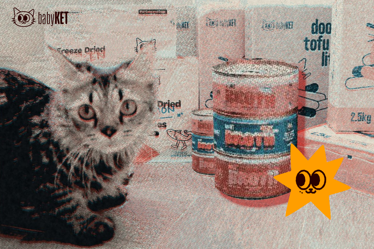Complete vs Complementary Cat Food: What’s the Difference? 🐱🍽️