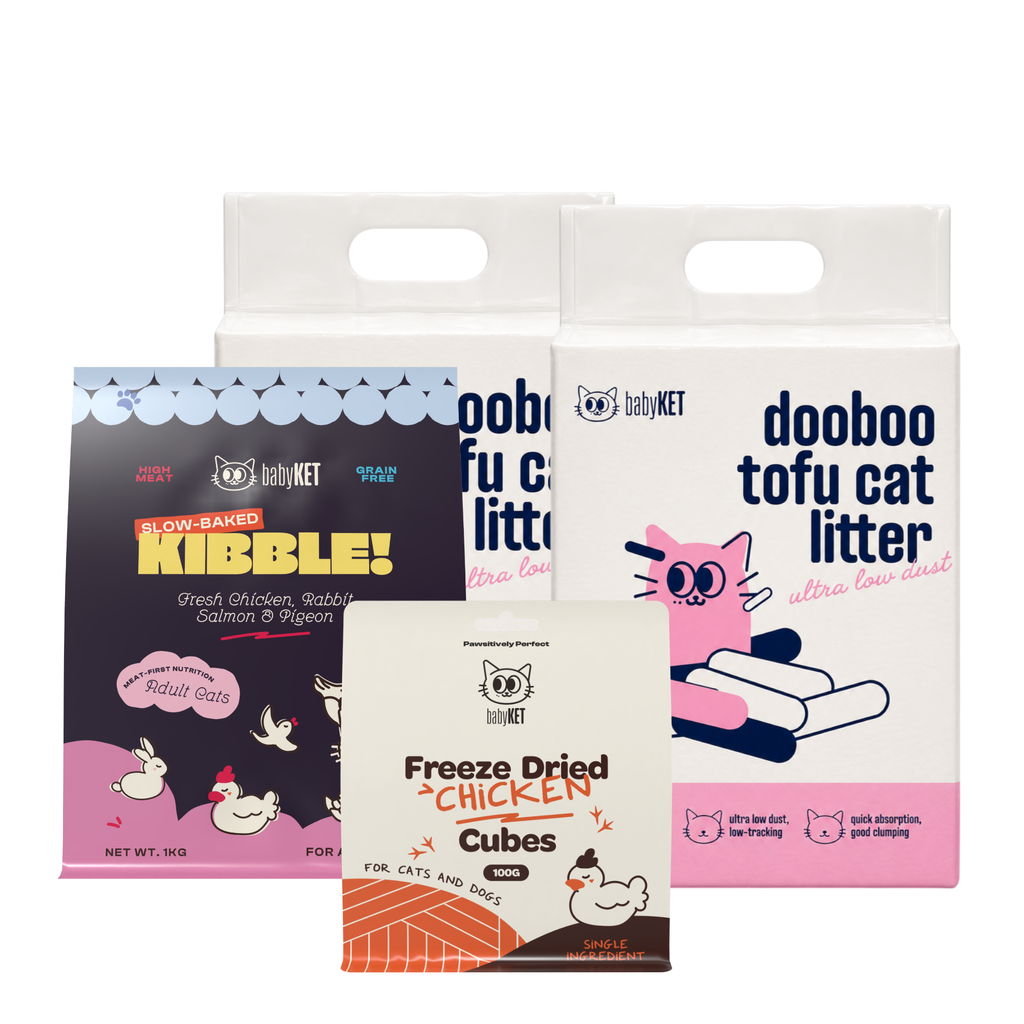 babyKET Cat Essentials Bundle