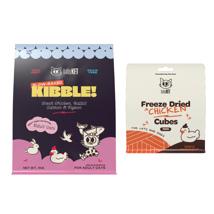 babyKET Cat Essentials Bundle