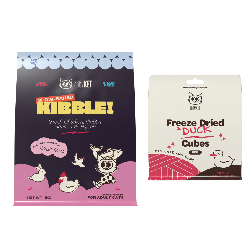 babyKET Cat Essentials Bundle