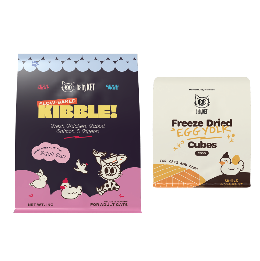 babyKET Cat Essentials Bundle