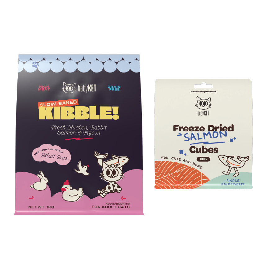 babyKET Cat Essentials Bundle