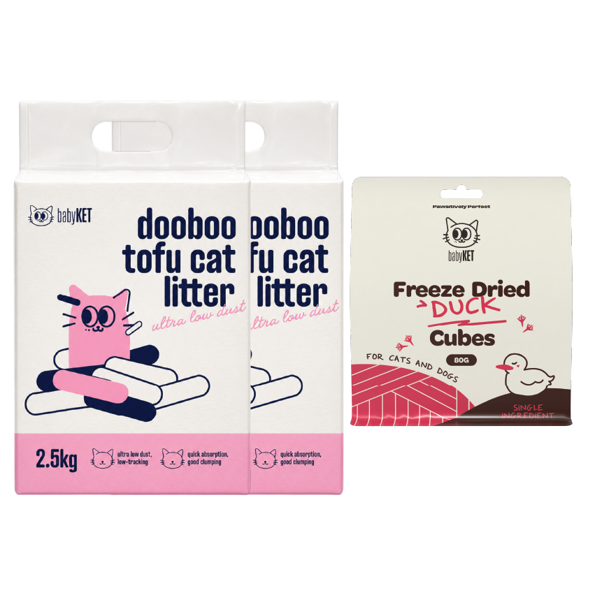 babyKET Cat Essentials Bundle