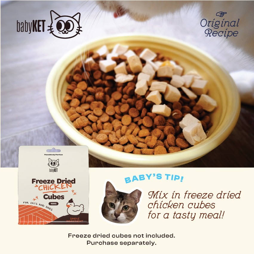 babyKET Slow-Baked Adult Cat Kibble Original 1kg
