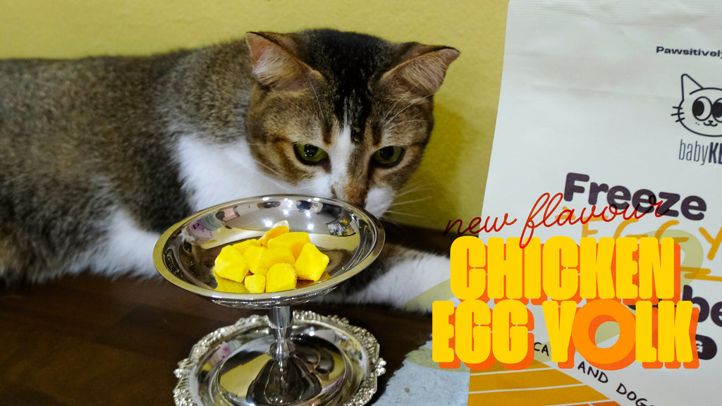 babyKET Freeze Dried Egg Yolk Cubes 150g