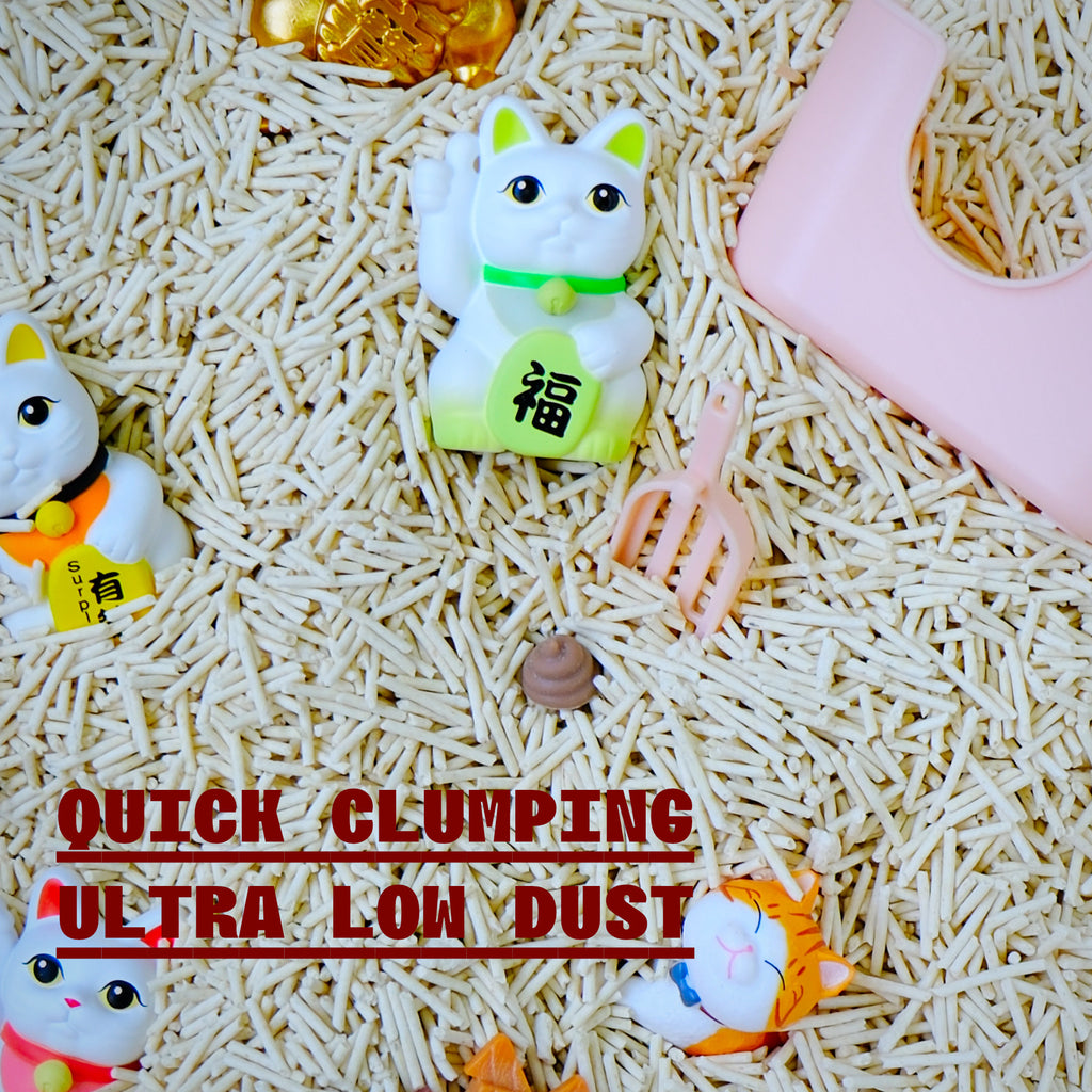 babyKET Cat Essentials Bundle